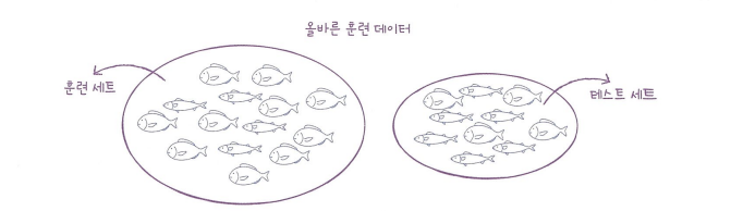 alt 올바른